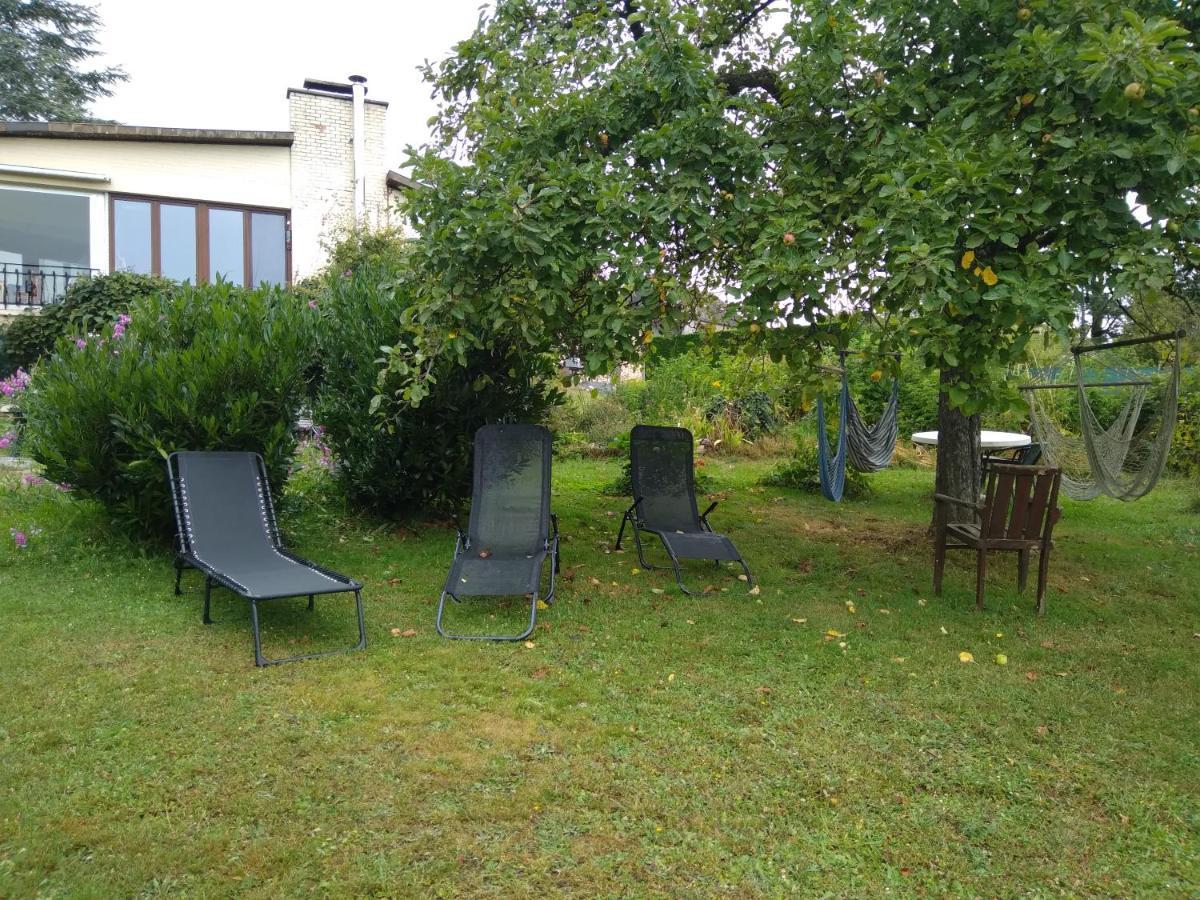 Dinant La Bergeronnette Avec La Chaleur Du Feu De Bois Et Le Jardin Villa Bagian luar foto