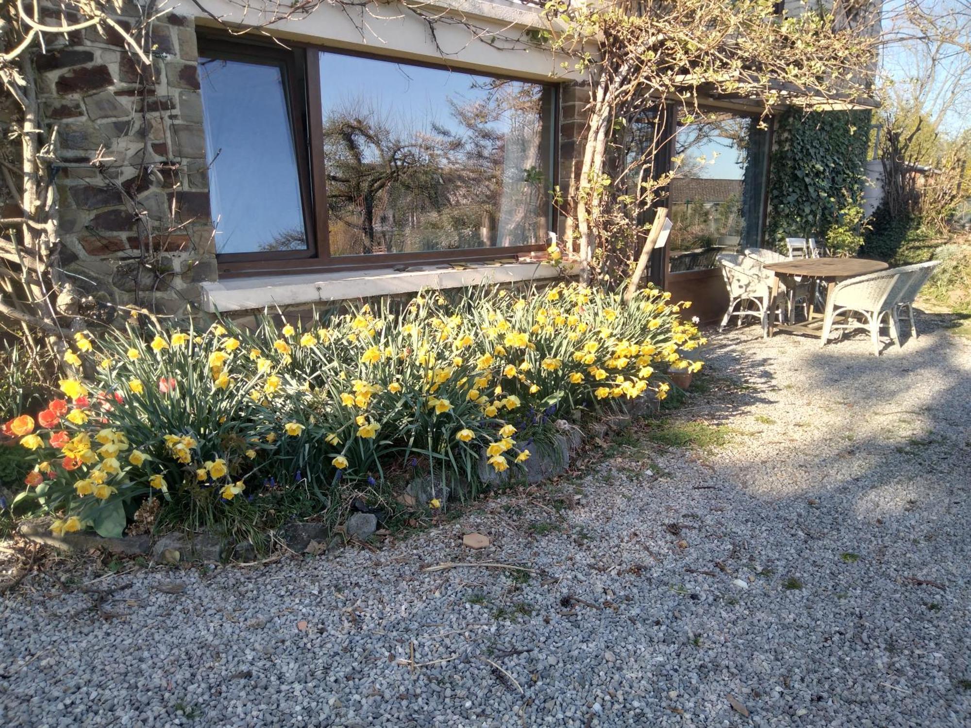 Dinant La Bergeronnette Avec La Chaleur Du Feu De Bois Et Le Jardin Villa Ruang foto